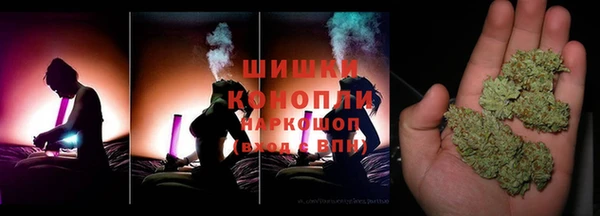 PSILOCYBIN Приозерск