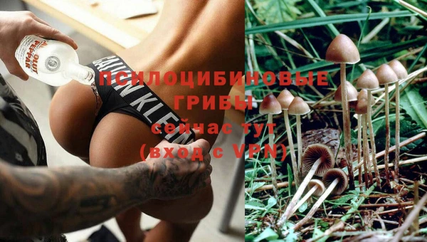 первитин Абдулино
