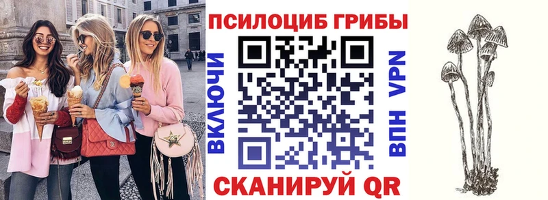 Псилоцибиновые грибы MAGIC MUSHROOMS  где найти наркотики  Осташков 